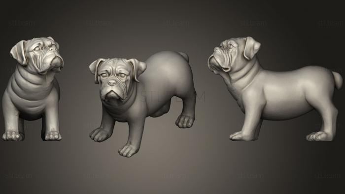 3D model Dog Scan Chien (STL)